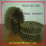 Pallet coil nails with good quality